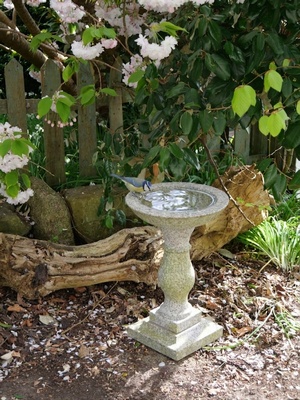 How to Choose a Granite Birdbath That Attracts Birds?
